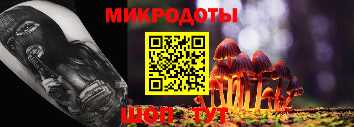 Псилоцибиновые грибы прущие грибы Людиново