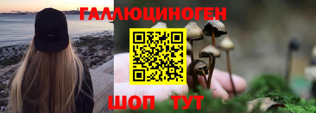Псилоцибиновые грибы Magic Shrooms  Галлюциногенные грибы Magic Shrooms  Вход с VPN  Людиново 